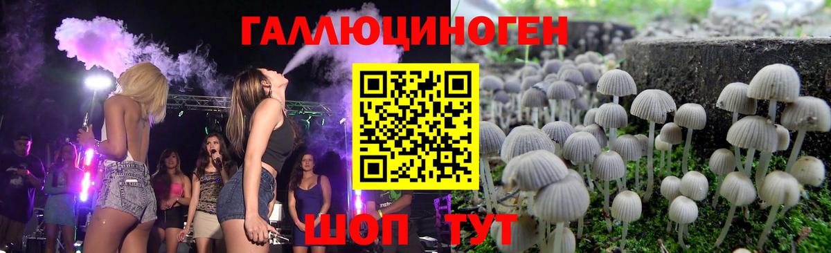 Псилоцибиновые грибы MAGIC MUSHROOMS  Вход с VPN  Псилоцибиновые грибы мухоморы  Геленджик 